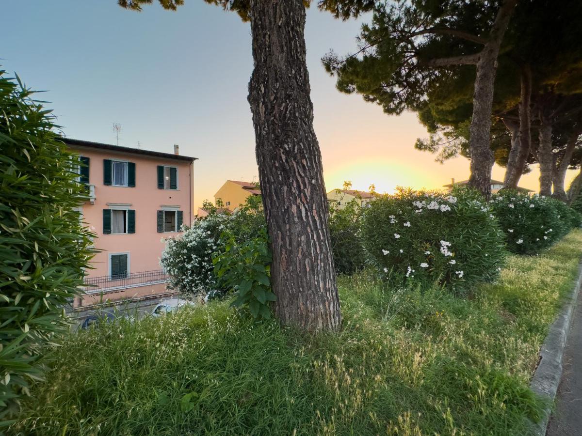 La Casa Di Eli Appartamenti Pisa Luaran gambar