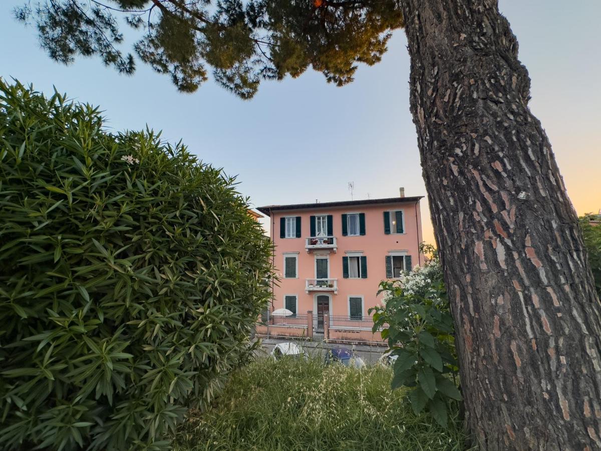 La Casa Di Eli Appartamenti Pisa Luaran gambar